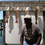 Nice Rack of 22 through 24 inch Redfish along with Speckled Trout.